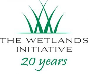 Logo--20th-Anniversary